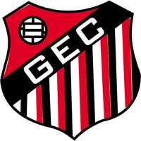 Brasão do clube
